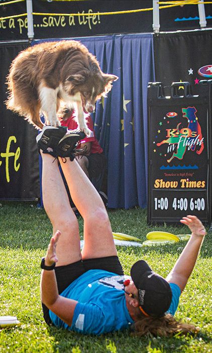 K9s in Flight performing at the Fair